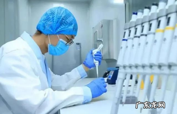 核酸检测采样后多久送检 核酸检测采样完成会马上进行检测吗