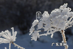 今年霜降是哪天2019 今年霜降是哪天2022