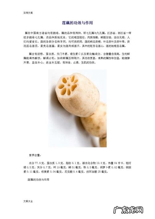 藕的作用与功效