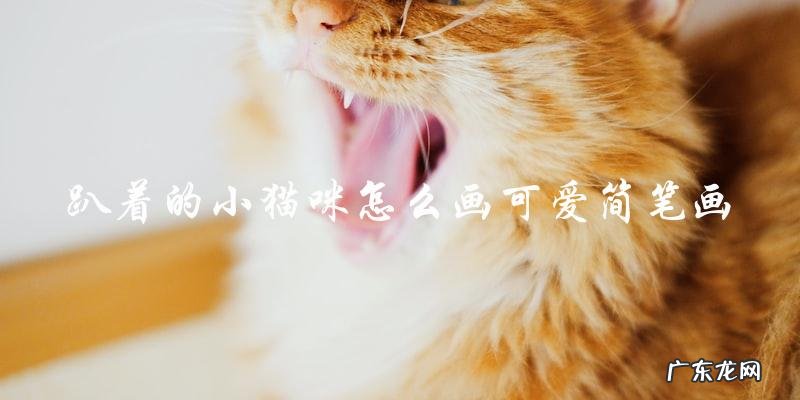 如何画出可爱简笔画的趴着的小猫咪?