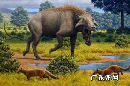 远古印记可以被免疫吗