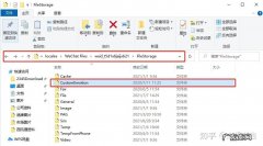 customemotion可以删除吗