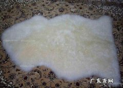 羊毛地毯能水洗吗