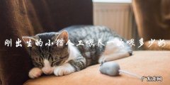 刚出生的小猫需要人工喂养，一次应该喂多少奶？
