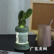 仙人掌防辐射不靠谱