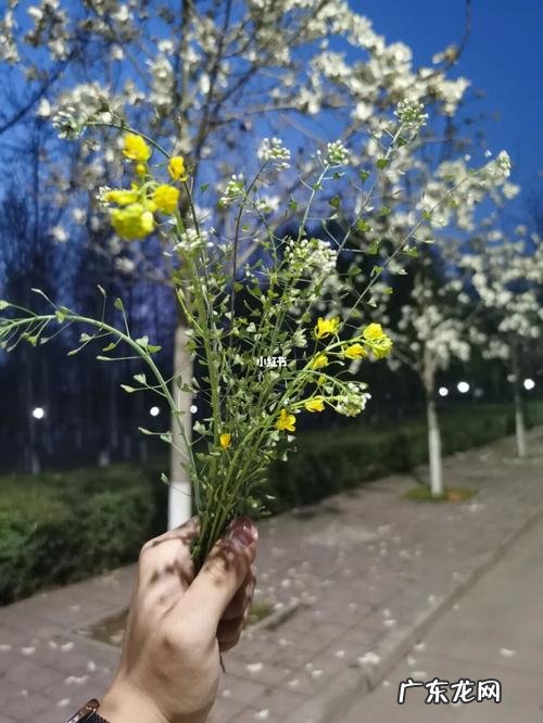 朋友圈状态是什么意思