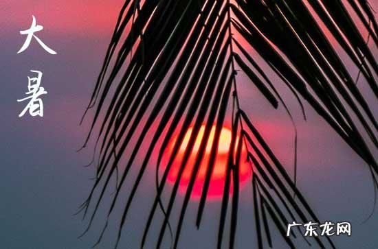 2023大暑节气的问候句子