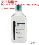 rnafree水和dd水区别