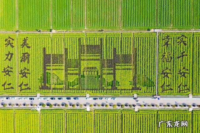 什么游戏不用实名认证还好玩 什么