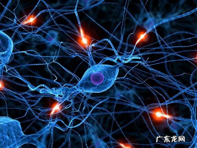 梦见死去的亲人是什么意思外婆 梦见死去的亲人是什么意思