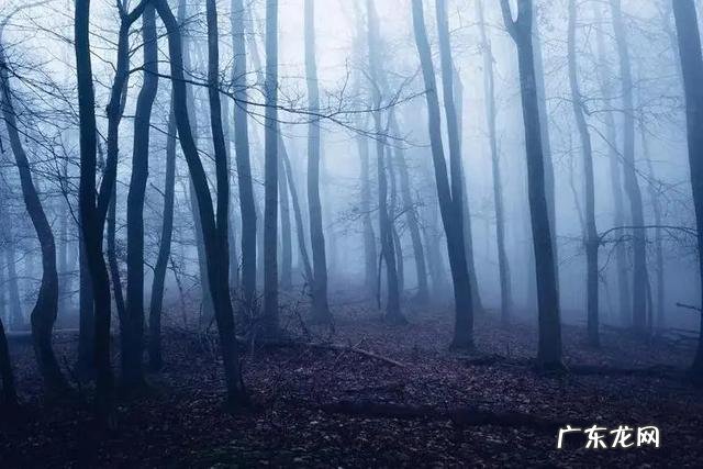 梦见死去的亲人是什么意思外婆 梦见死去的亲人是什么意思