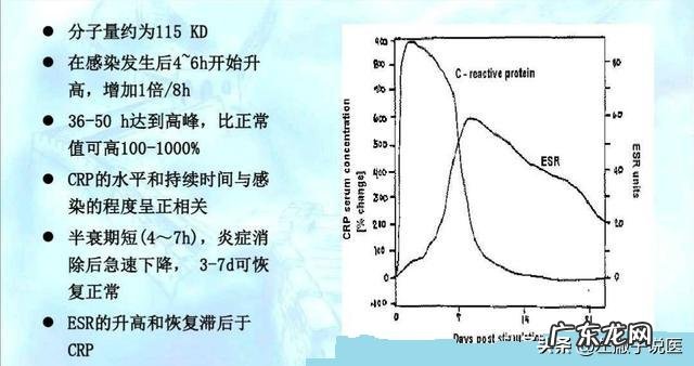 c反应蛋白高说明什么宝宝发烧怎么办 c反应蛋白高说明什么