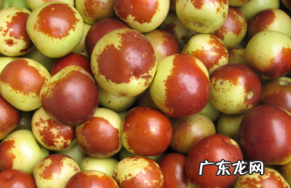 冬枣要放冰箱保鲜吗 冬枣要不要冷藏储存