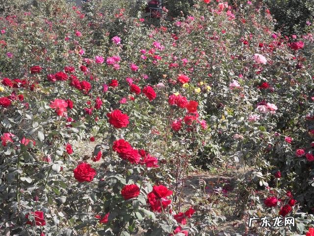 cscx等于什么求导 cscx等于什么