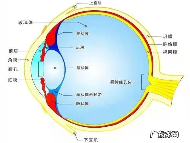 青光眼的症状和表现是什么白内障 青光眼的症状和表现是什么