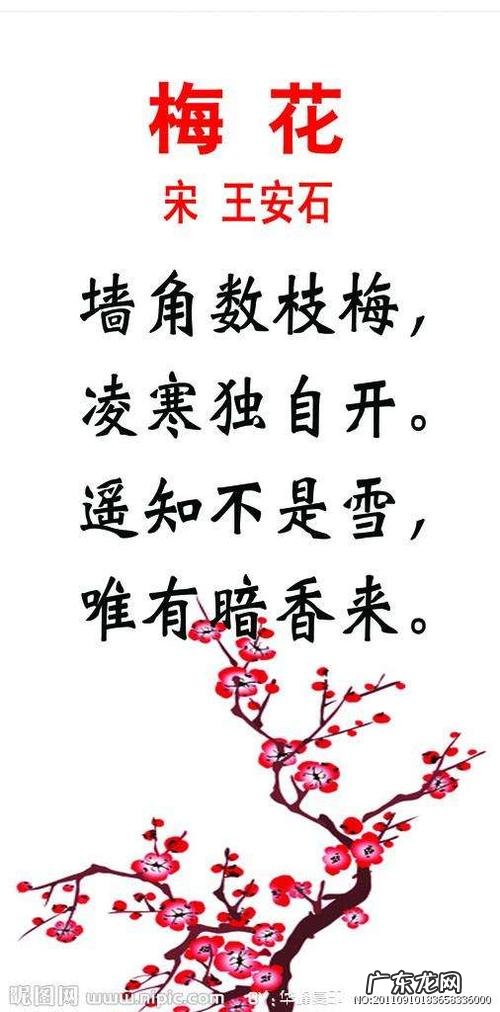 哪句诗描写梅花