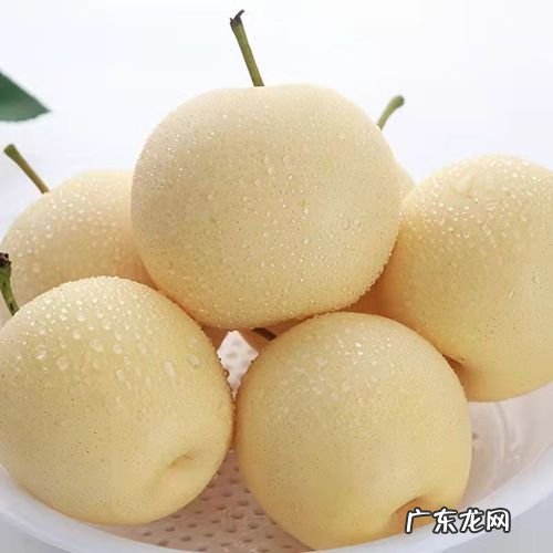 皇冠梨和雪梨的功效一样吗