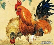 鸡龙相合二八出猜生肖