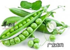 新鲜豌豆的热量