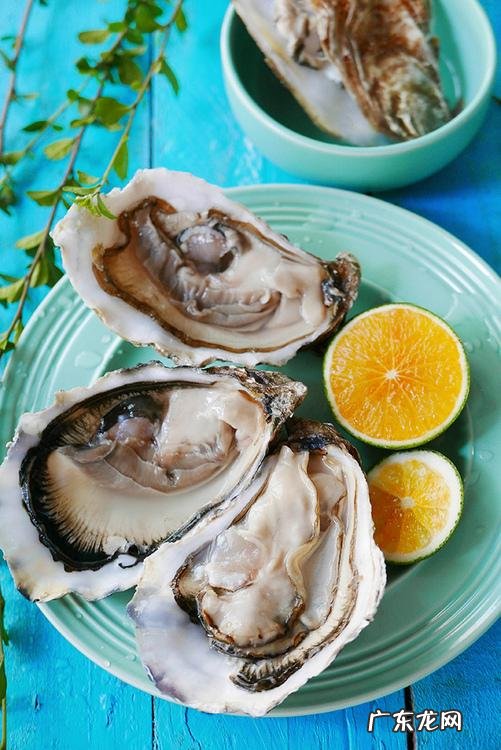 ps是什么意思软件 ps是什么意思