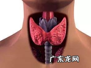 促甲状腺激素偏低是什么意思 促甲状腺激素偏高是什么意思