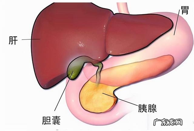 肚子胀气是什么原因有什么办法解决吗 肚子胀气是什么原因