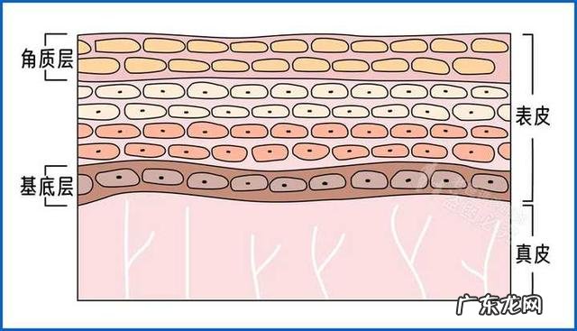 打工人的早c晚a什么意思 早c晚a什么意思