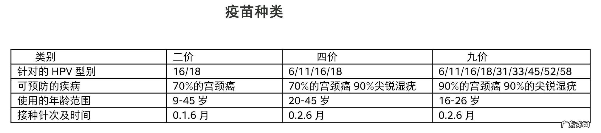 人乳头瘤病毒是什么怎么感染的 人乳头瘤病毒是什么