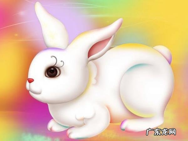 属兔哪日出生是上等之命
