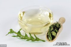 蒲公英根泡水喝有什么作用和功效 蒲公英泡水喝有什么作用和功效
