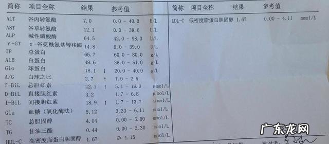 转氨酶高是怎么回事有什么危害 胆红素高是怎么回事有什么危害