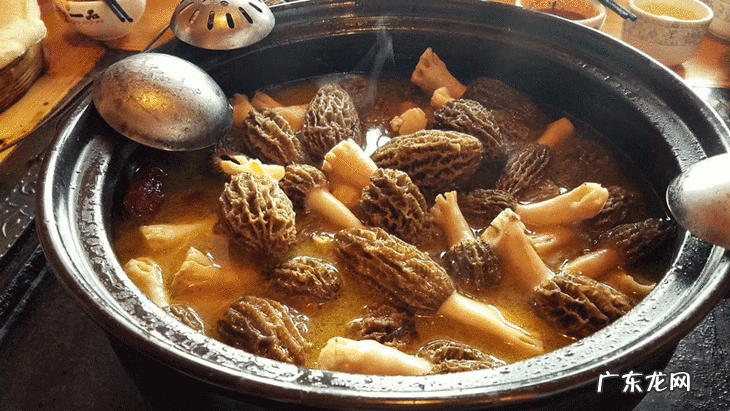 羊肚菌与什么材料煲汤