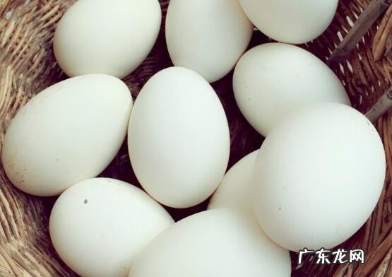 鹅蛋的最佳储存方法
