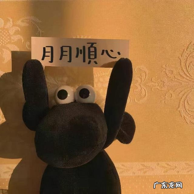 11月是什么星座的人 11月是什么星座