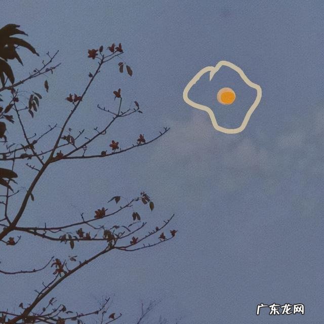 11月是什么星座的人 11月是什么星座