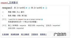 respect 瑞思拜什么意思