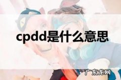 cpdd是什么意思网络用语cpdd你是唯一下一句是什么 cpdd是什么意思
