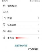 怎么恢复录屏的声音