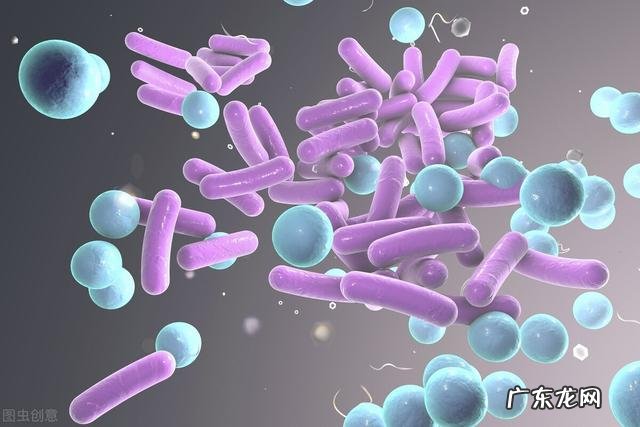 肛门周围潮湿瘙痒是什么原因怎么治疗 肛门周围潮湿瘙痒是什么原因