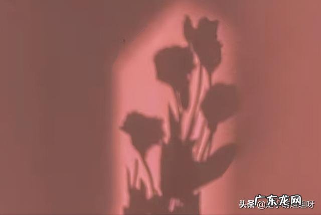 2020盈利最多的游戏 2022十大良心赚钱游戏