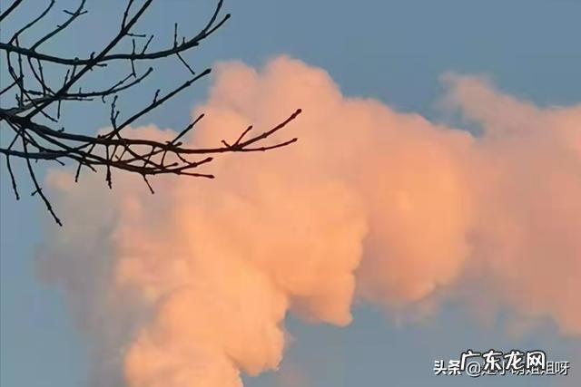 2020盈利最多的游戏 2022十大良心赚钱游戏