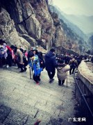 泰山海拔多少米多少个台阶