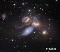 宇宙最大生物有多大