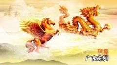 神龙马壮是指什么生肖