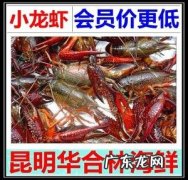 小龙虾是海鲜吗