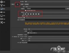 录屏时只要电脑声音不要人声怎么弄