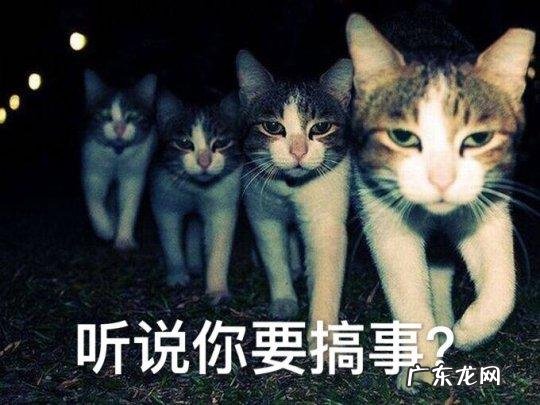 世界十大经典游戏 全球十大经典游戏