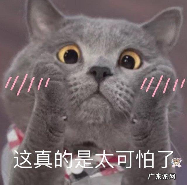 网络游戏门户网站 十大门户网站游戏