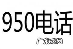 95010是什么号码