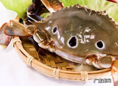 三点蟹有什么功效作用
